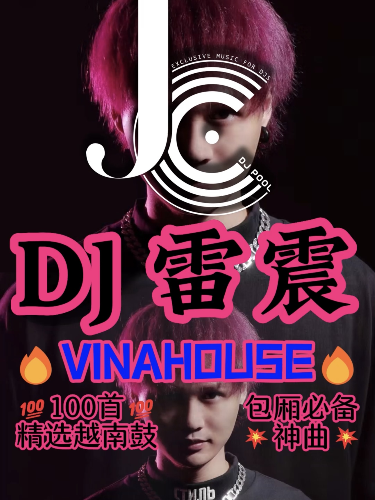 #DJ雷震100首精选Vina house越南鼓 包房必备神曲